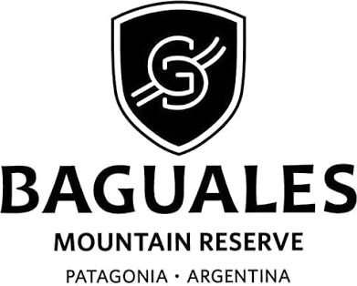 Baguales