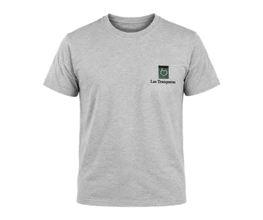 Remera lisa
